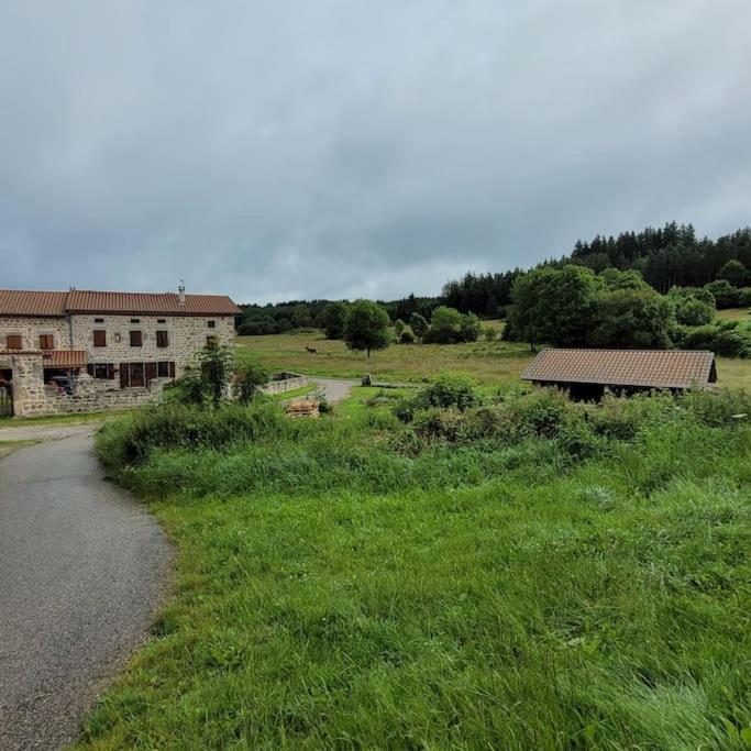 Maison De Campagne Villa Usson-en-Forez Dış mekan fotoğraf